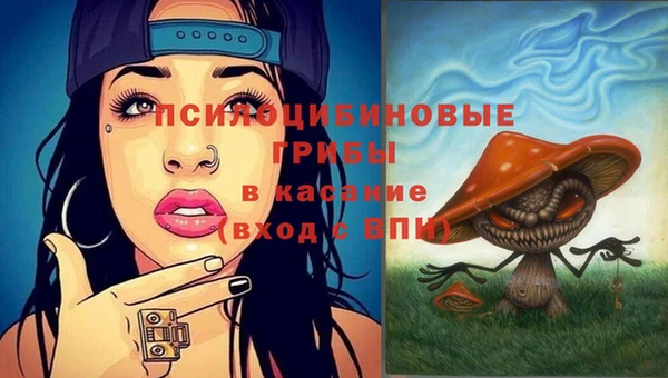 ПСИЛОЦИБИНОВЫЕ ГРИБЫ Нея