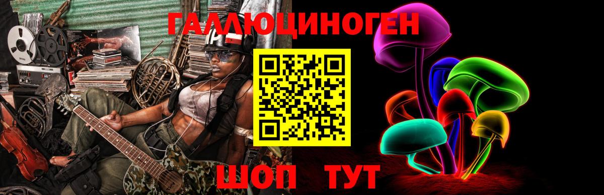 Галлюциногенные грибы GOLDEN TEACHER Прохладный
