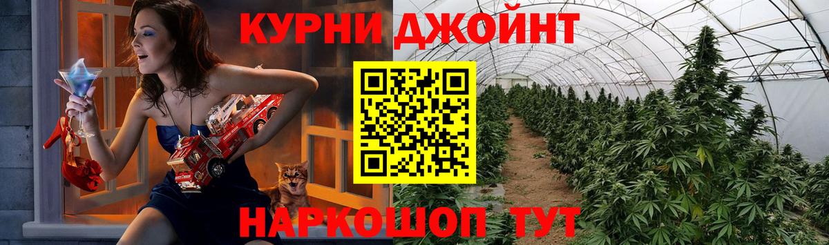 Бошки Шишки ГИДРОПОН Прохладный